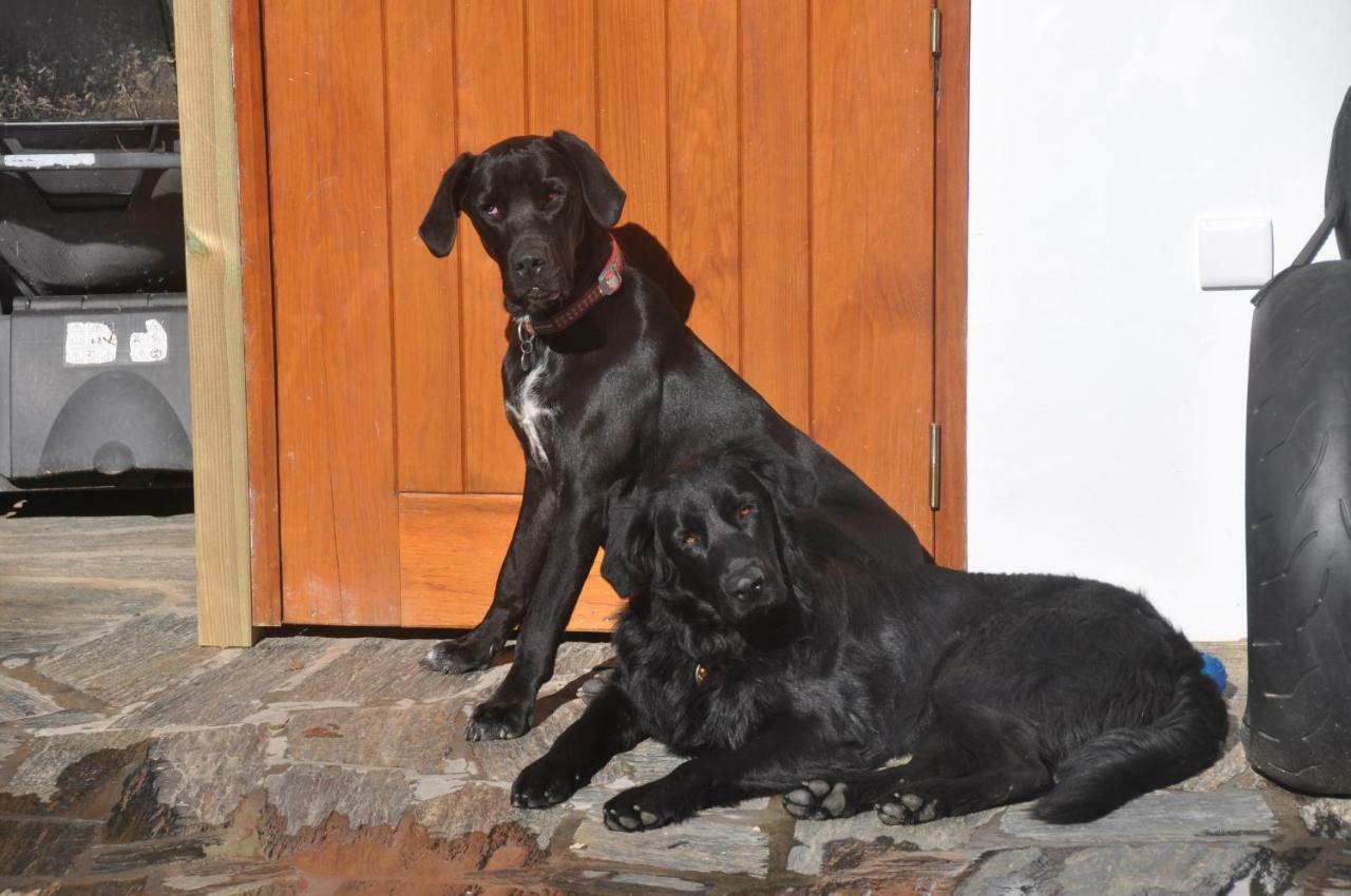 Quinta Do Bom Vento Guest House Óbidos Екстериор снимка